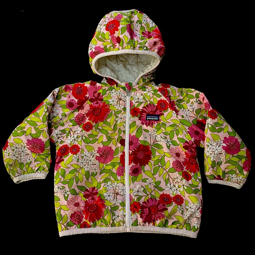3T Patagonia reversible jacket